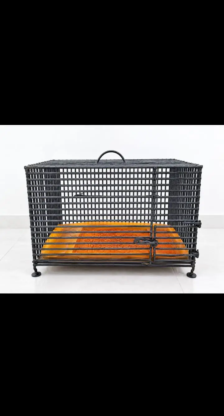 IRON ROD CAGE — photo 3