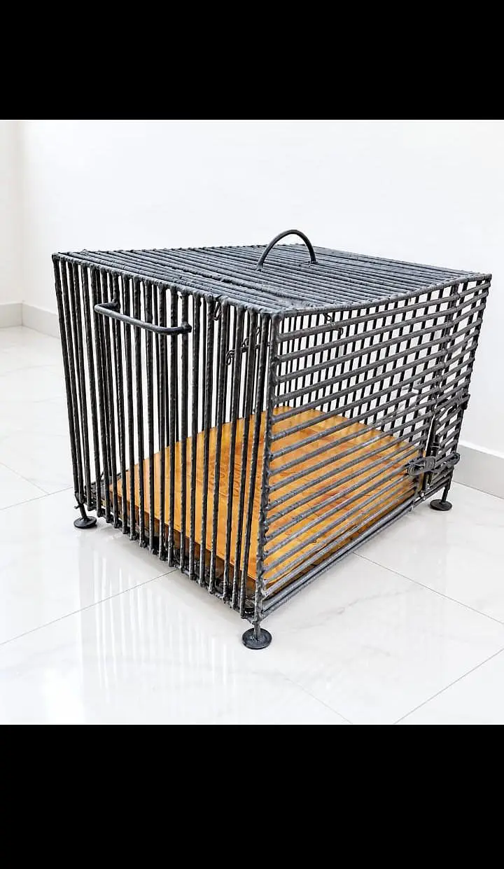 IRON ROD CAGE — photo 4
