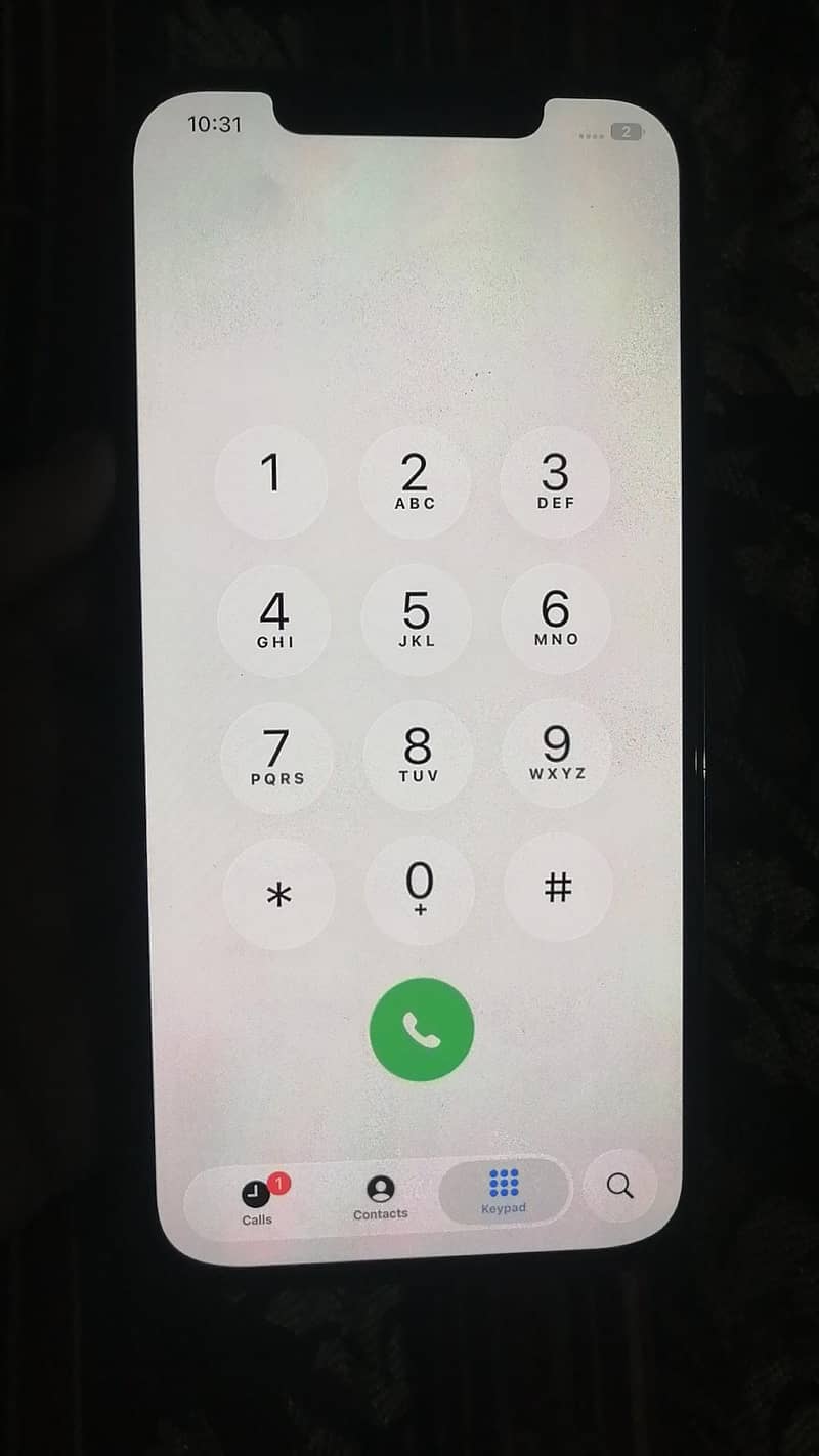 IPhone 12 pro max oled penal 1