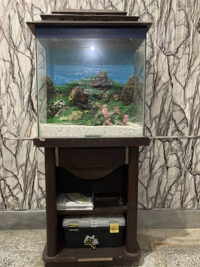 Fish Aquarium with wooden shelves stand