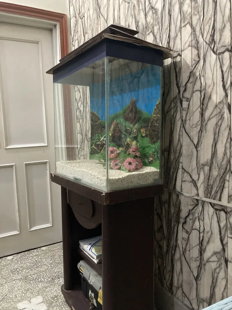 Fish Aquarium with wooden shelves stand — photo 2