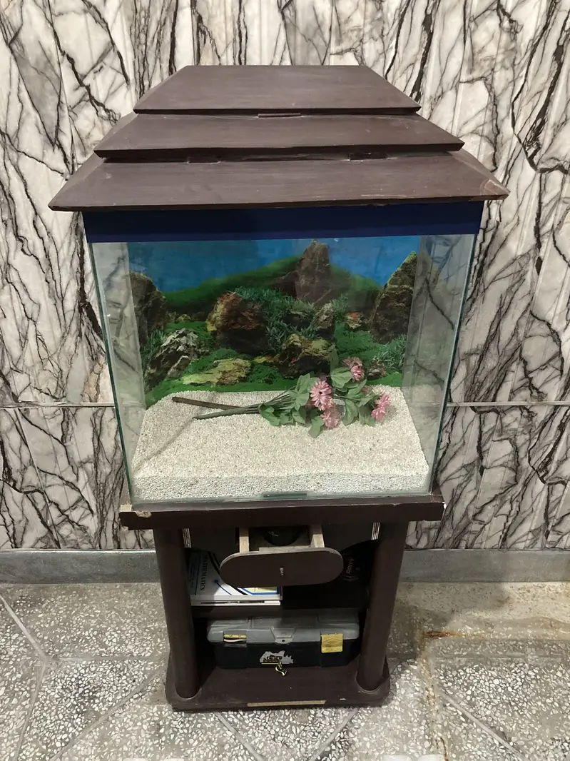 Fish Aquarium with wooden shelves stand — photo 3