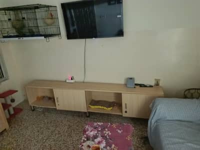 Console Tv, Long
