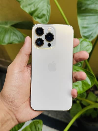 Apple iPhone 13 Pro factory unlock