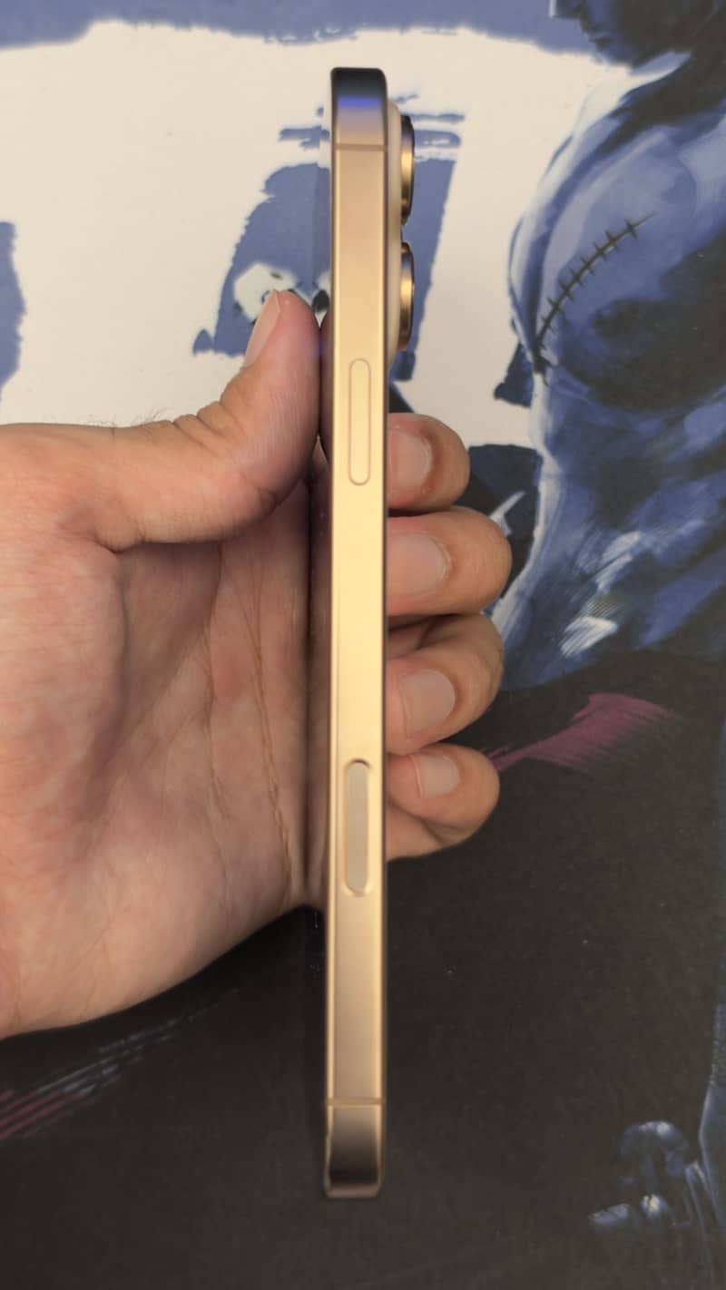 Apple iPhone 16 Pro Max 1