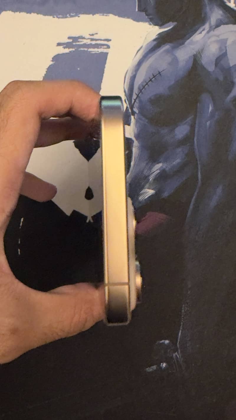 Apple iPhone 16 Pro Max 2