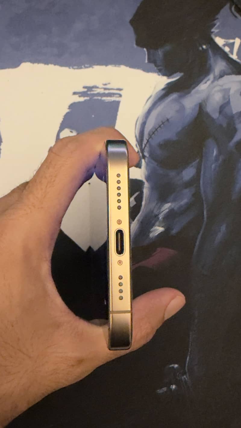 Apple iPhone 16 Pro Max 7
