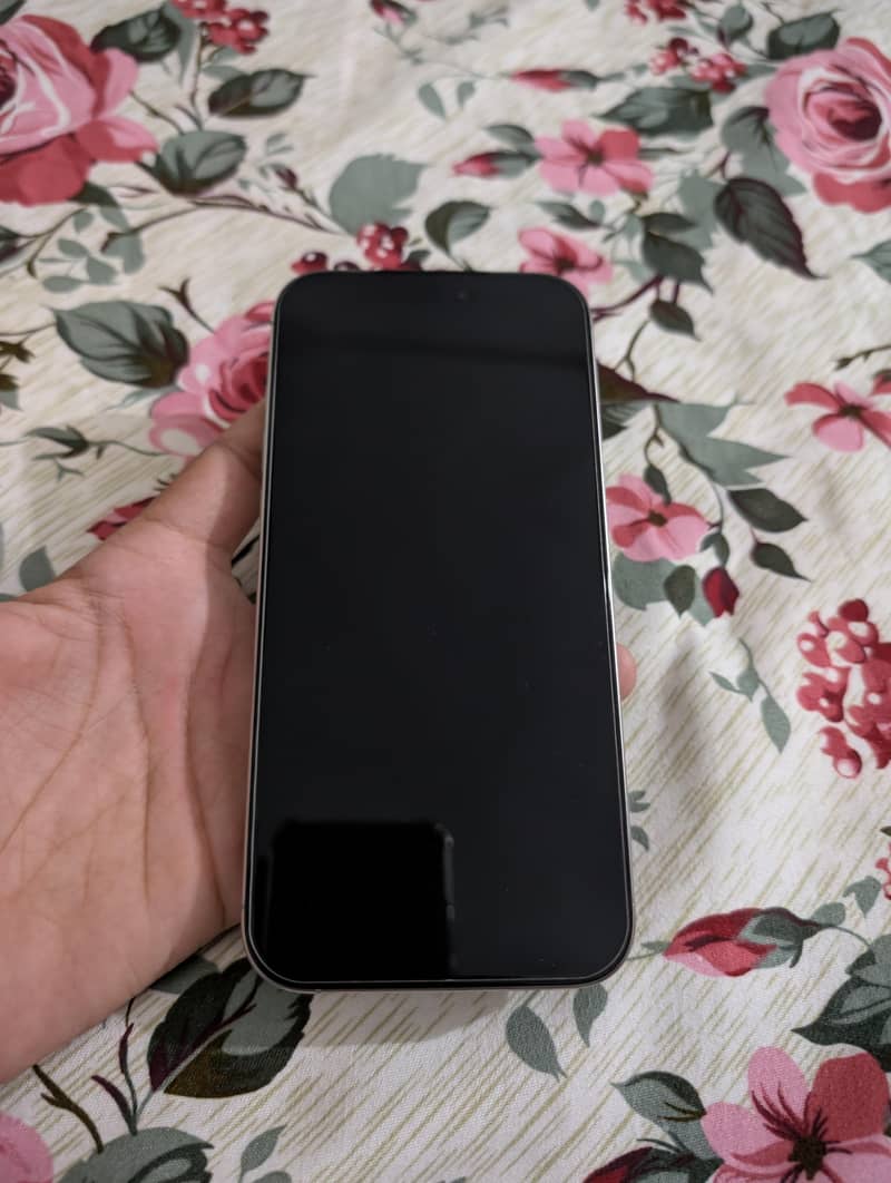 Apple iPhone 16 Pro Max 2
