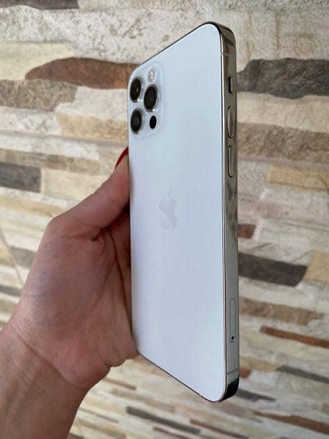 Apple iPhone 12 Pro Max 1