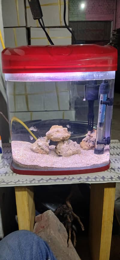RS 300a aquarium like new Chinese