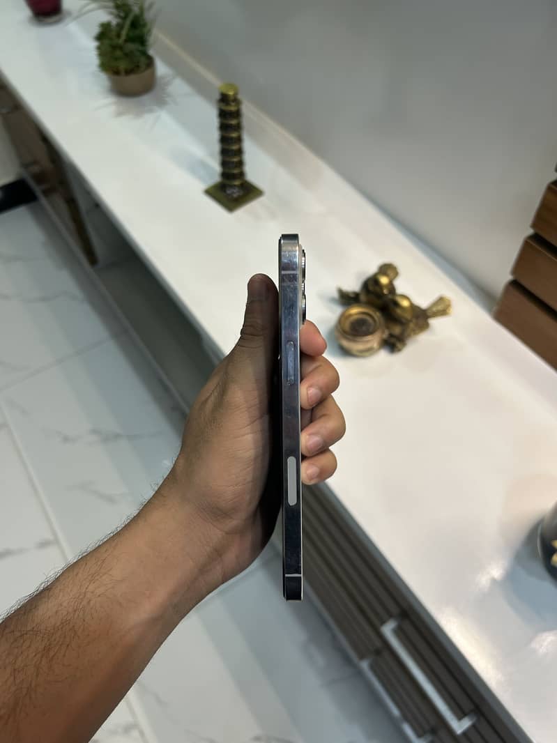 Apple iPhone 12 Pro Max 1