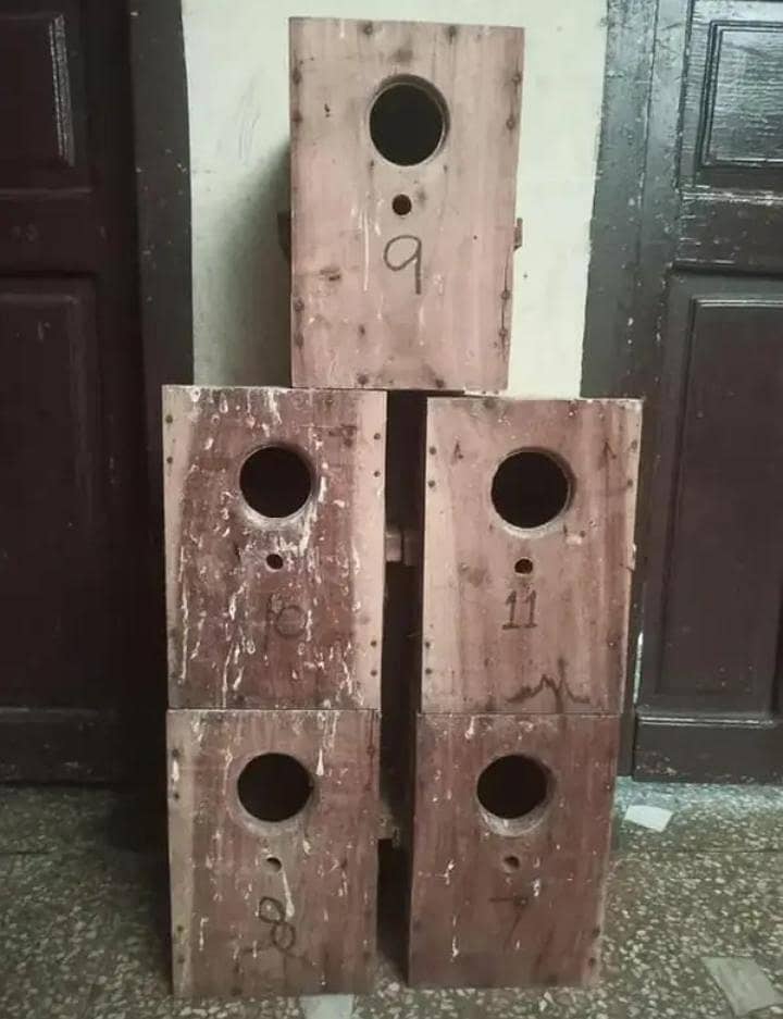 bird box 0