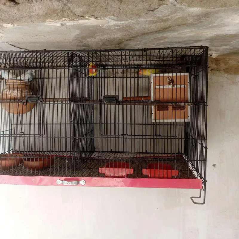 Pakistan — photo 2