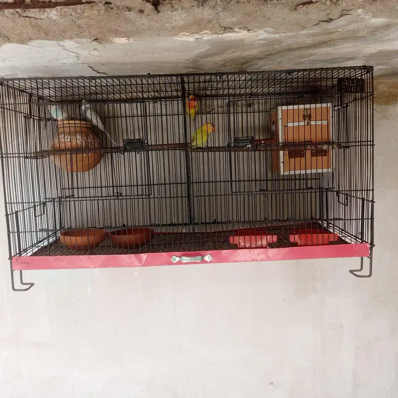 Pakistan — photo 6