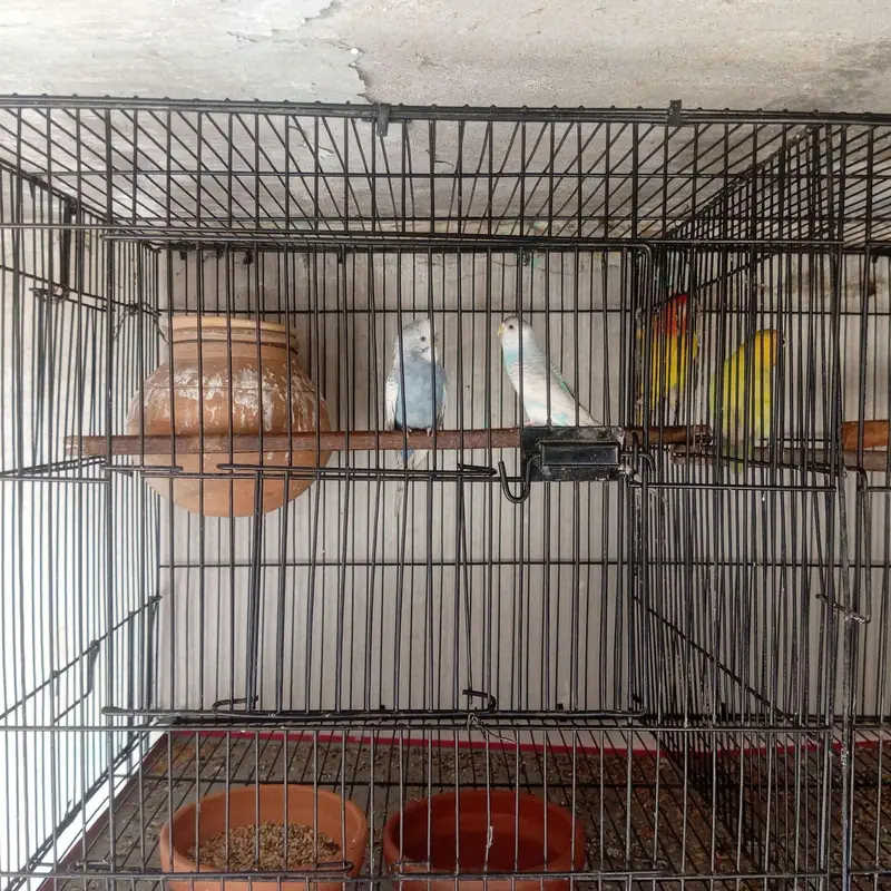 Pakistan — photo 7