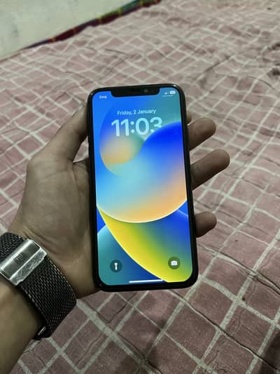 Apple iPhone X