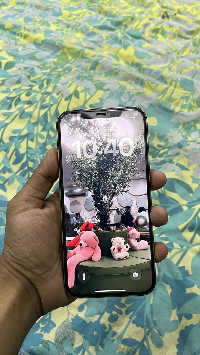 Apple iPhone 12 Pro Max 1