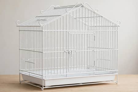 white Pigeon Cage