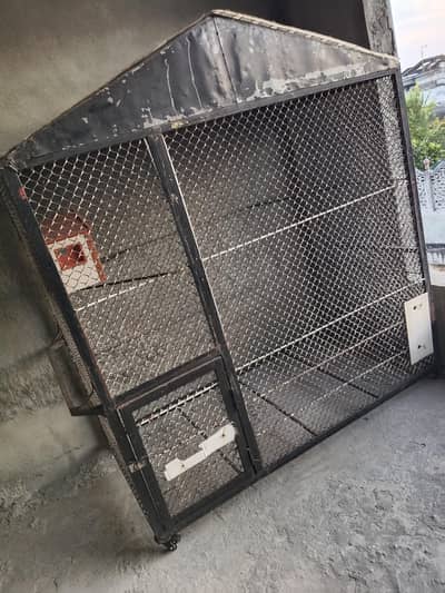 dog and cat cage