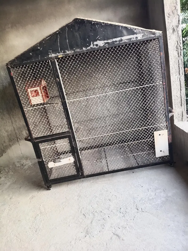 dog and cat cage — photo 3