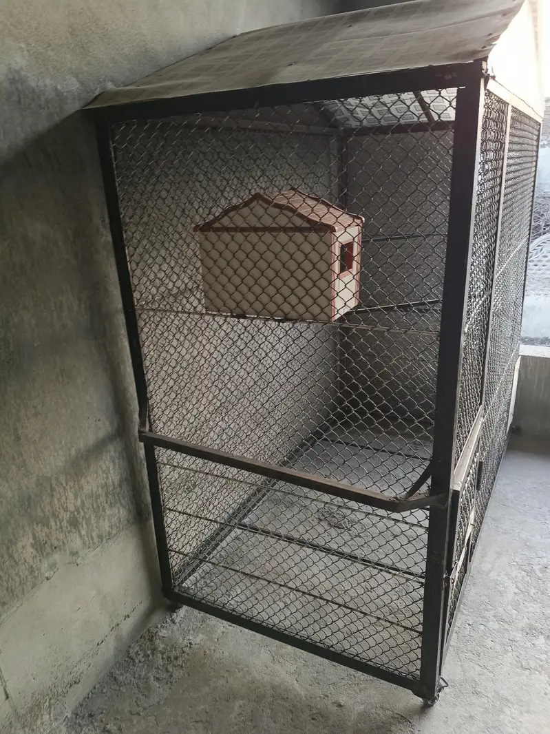 dog and cat cage — photo 4