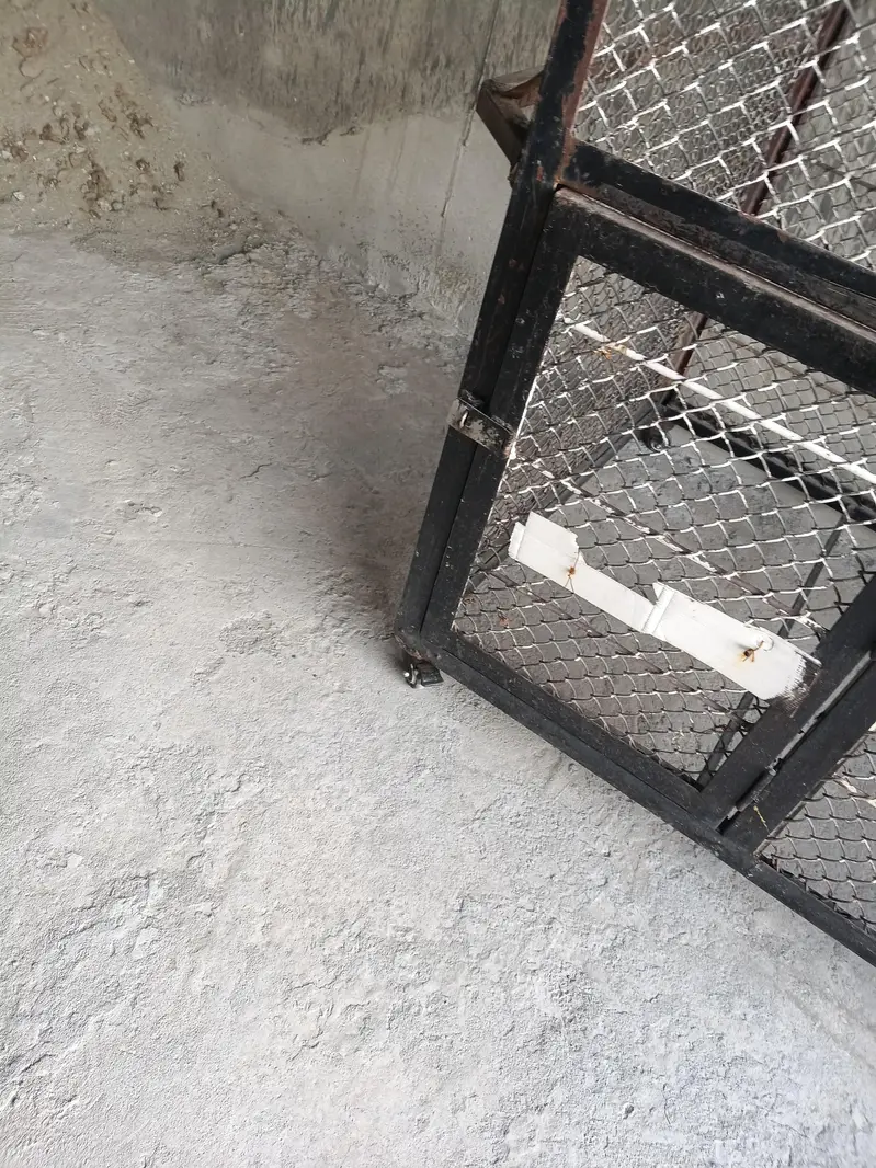 dog and cat cage — photo 5