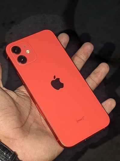 Apple iPhone 12