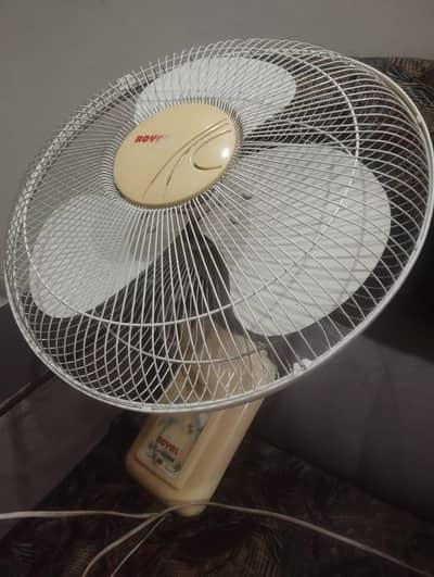 Royal Bracket Fan