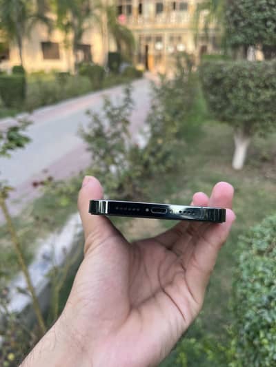 iPhone 13 pro max Non pta Sim working 128gb 83