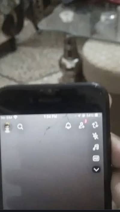 Apple iPhone 7