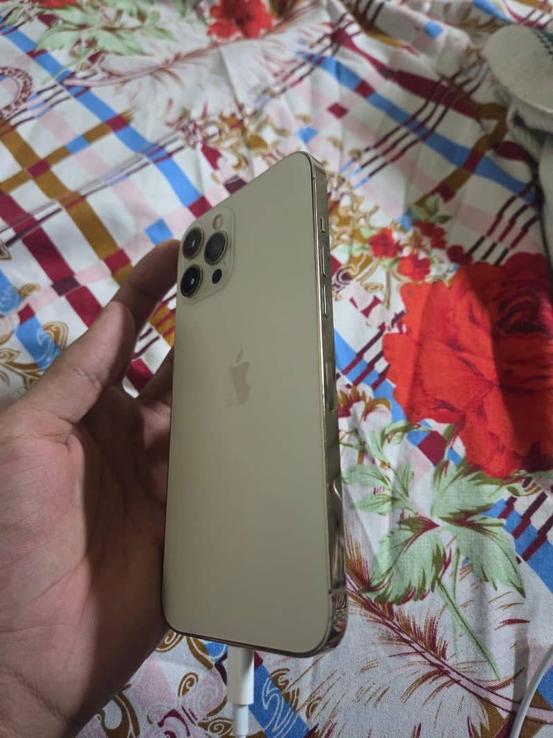 Apple iPhone 12 Pro Max 1
