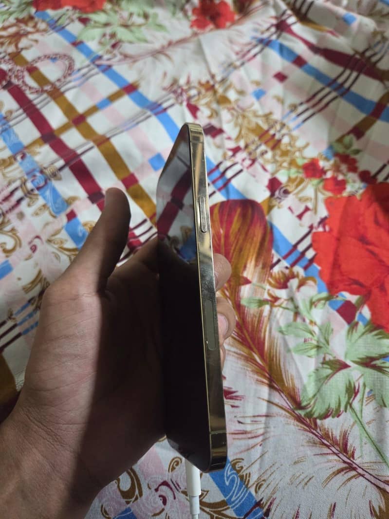 Apple iPhone 12 Pro Max 2