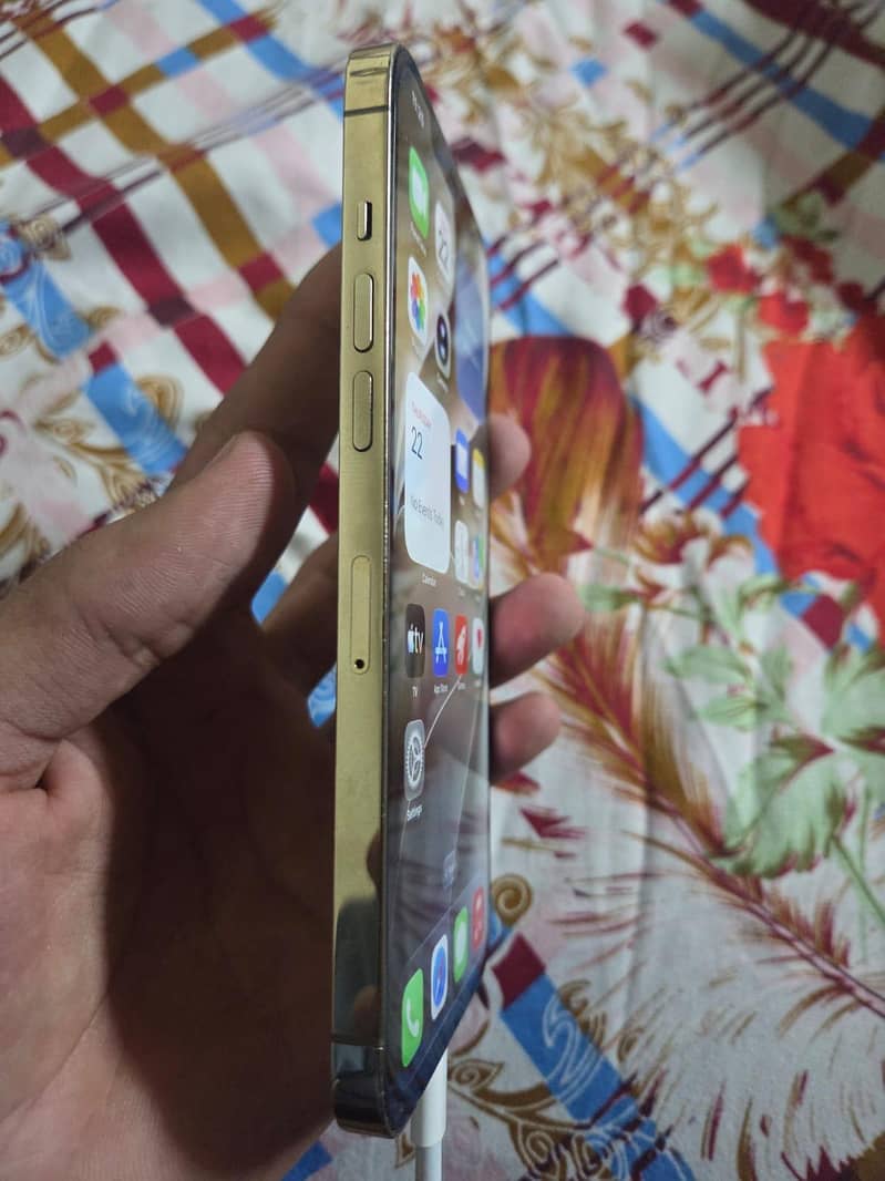 Apple iPhone 12 Pro Max 3