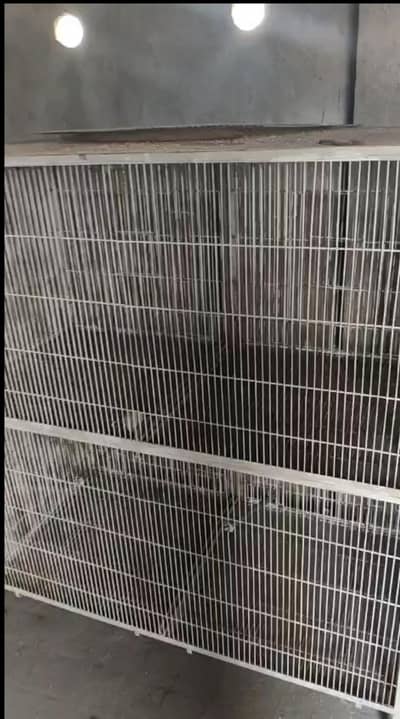 cage for sale new condition moti wires ma ha