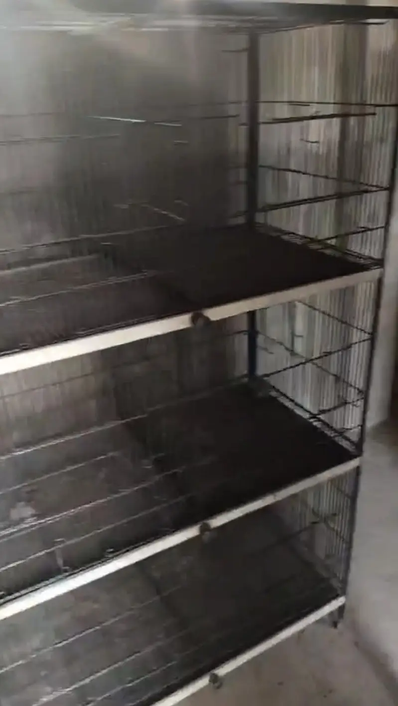 cage for sale new condition moti wires ma ha — photo 2