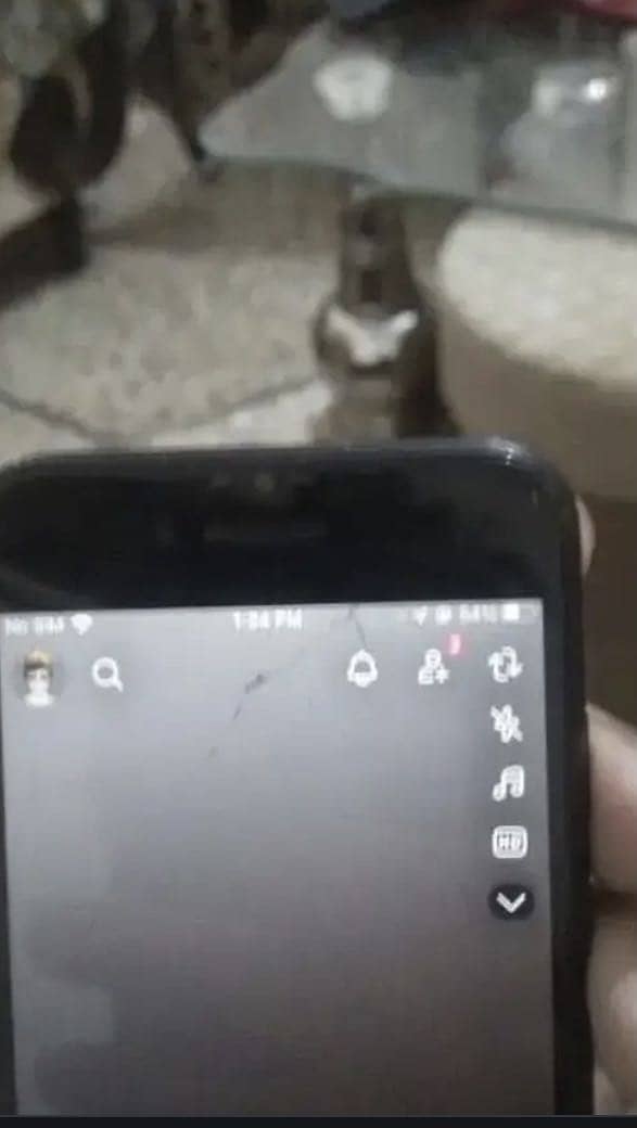 Apple iPhone 7 2