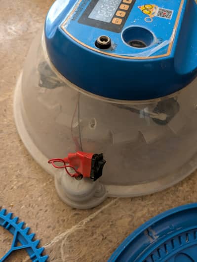 incubator and brooder