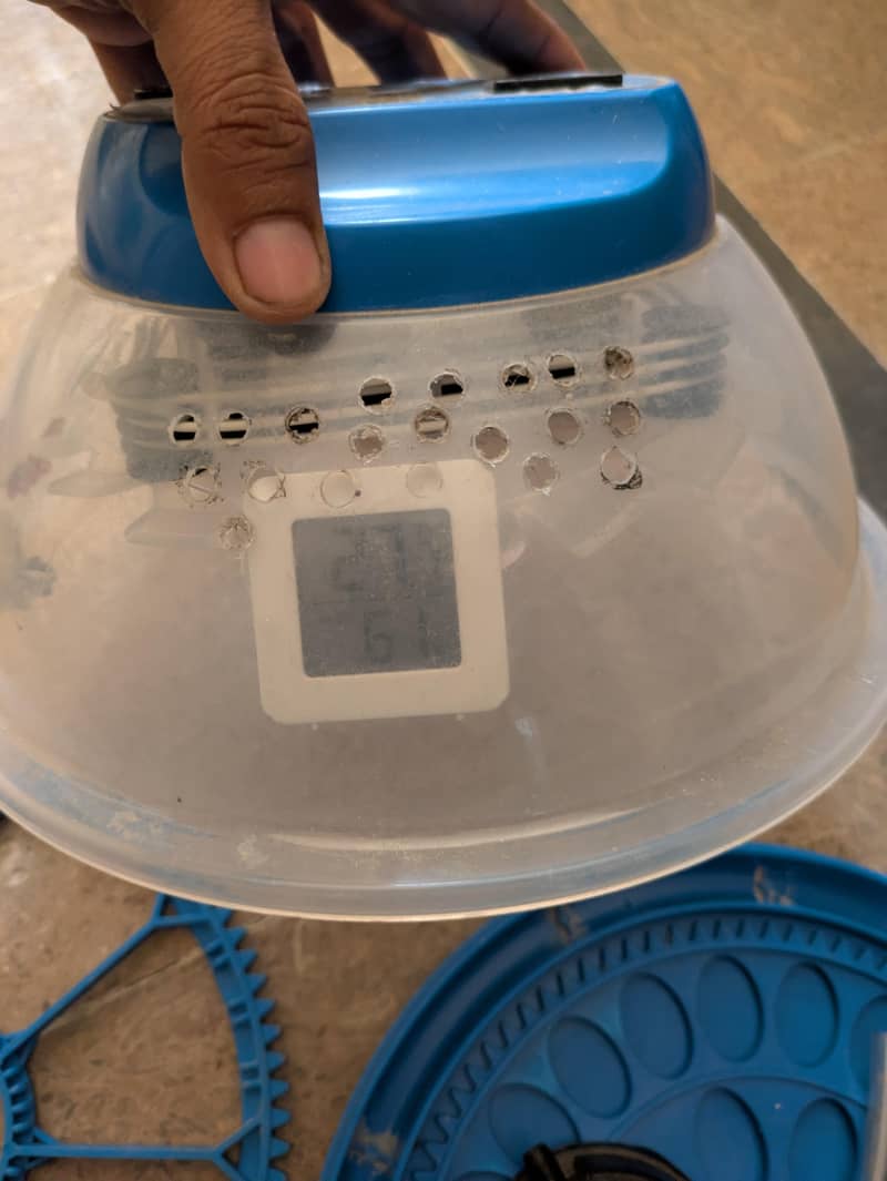 incubator and brooder 1