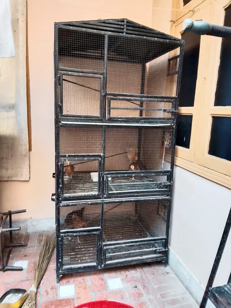 Heavy cage for sale with reasonable price — photo 2