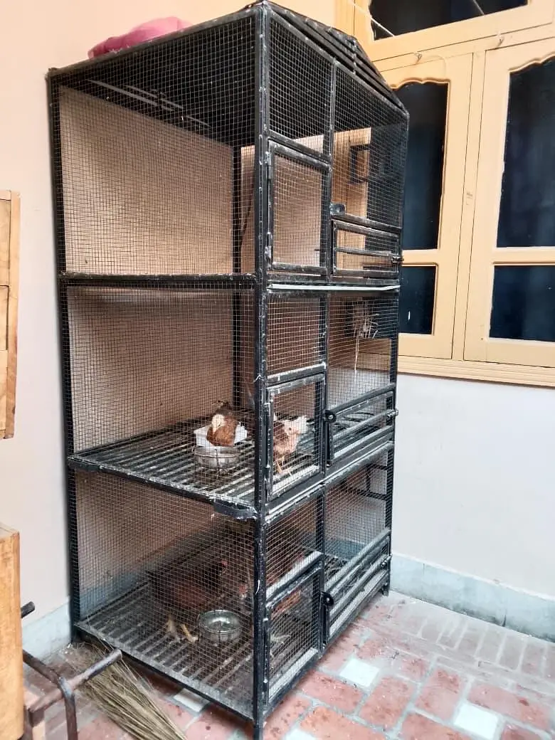 Heavy cage for sale with reasonable price — photo 3