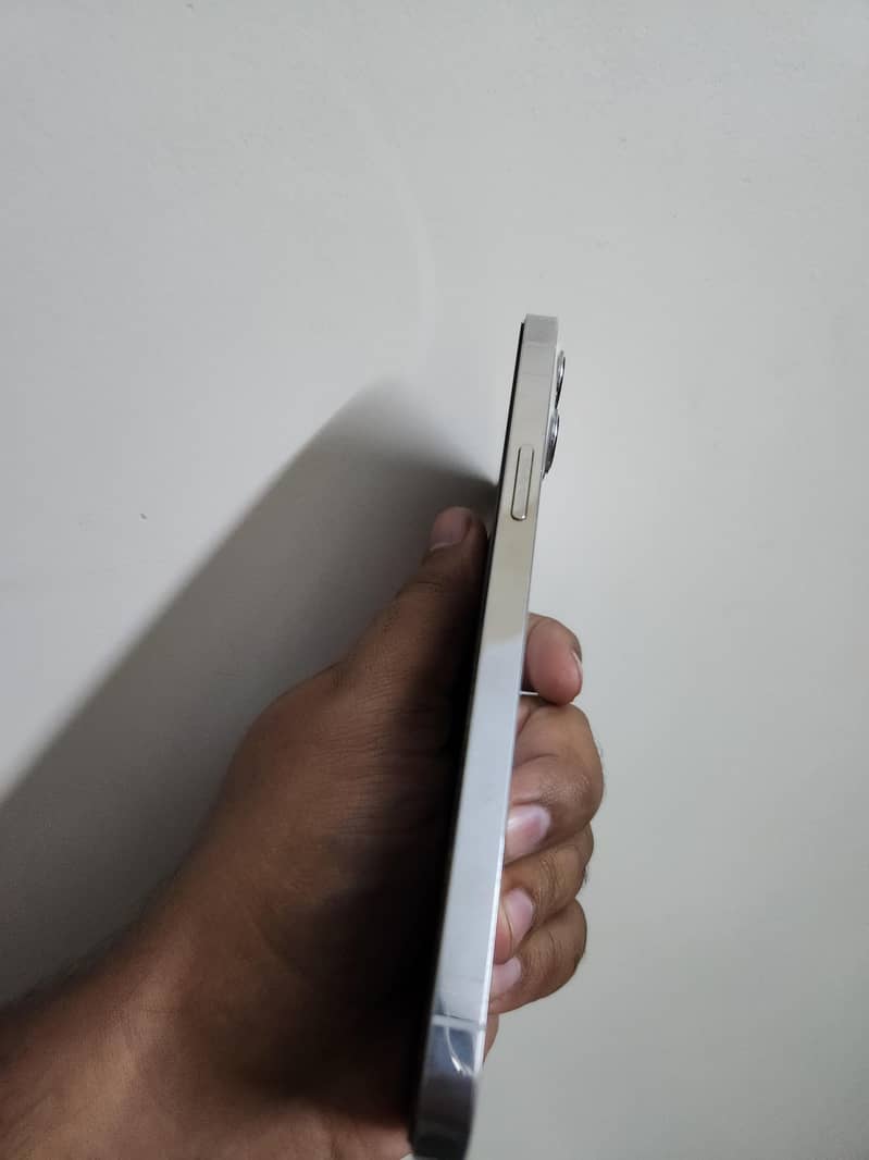 Apple iPhone 12 Pro Max 1