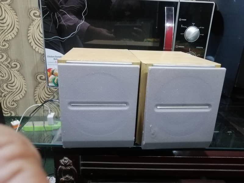 speaker 0