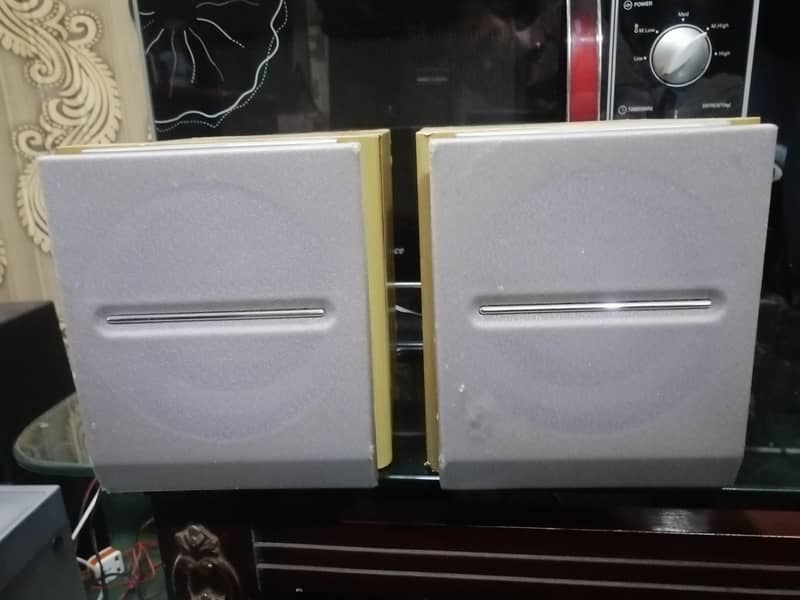 speaker 1