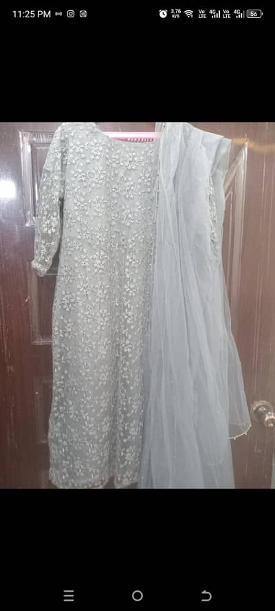 fancy net dress