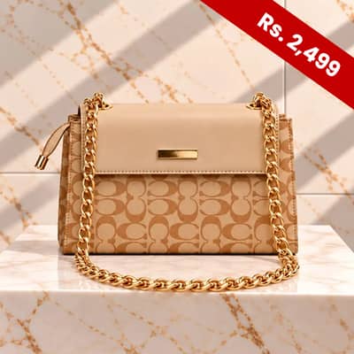 Ladies Hand Bag