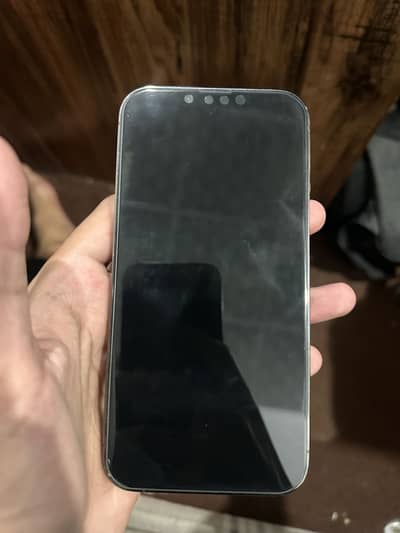 Apple iPhone 13 Pro