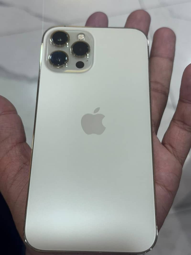 Apple iPhone 12 Pro Max 1