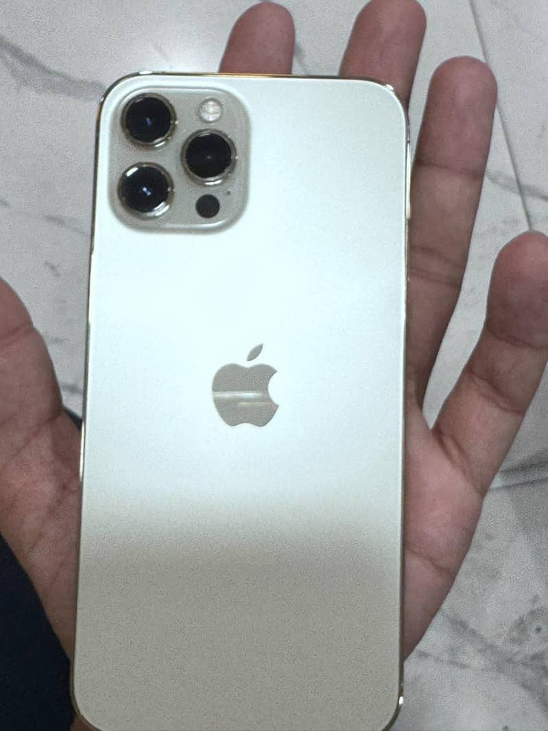 Apple iPhone 12 Pro Max 2