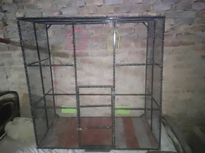 Large Iron Bird Cage for Sale – 4 × 5 Feet | Rs. 20,000