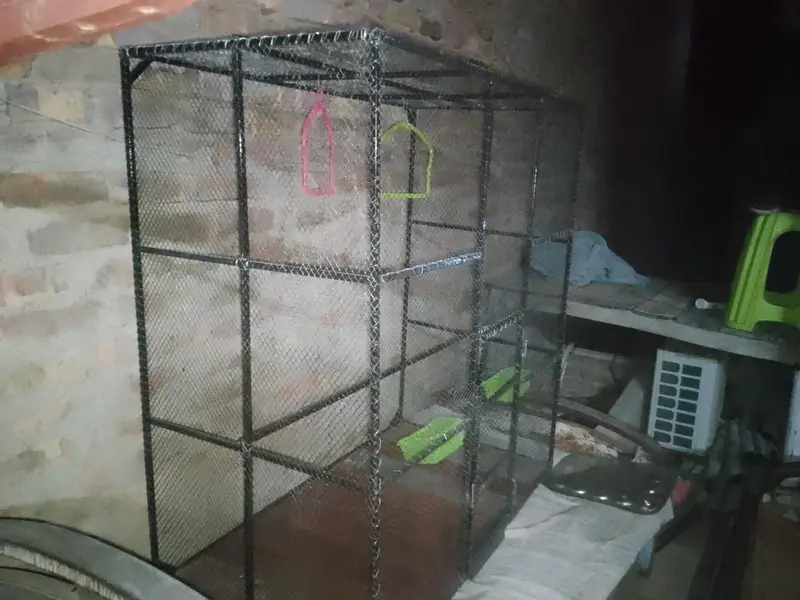Large Iron Bird Cage for Sale – 4 × 5 Feet | Rs. 20,000 — photo 2